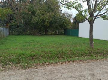 CRI-CRI-83943_2 · Lote. | Reant Al 2500