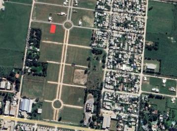 CRI-CRI-83967_2 · Lote. | Neuquen