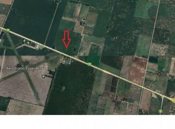 CRI-CRI-83996_2 · Lote. | Esperanza