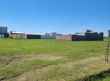 CRI-CRI-84010_2 · Lote. | Cesar m. Pittier Al S00