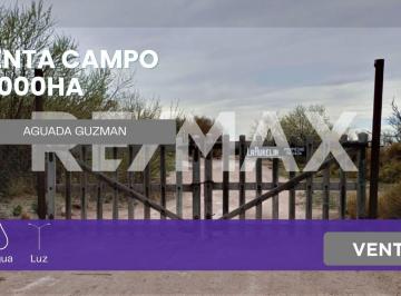 Campo · 150ha · Venta de Campo 11.000 Ha en Aguada Guzman