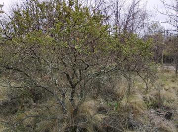 Terreno , Las Rabonas · Lote en Las Rabonas Barrio Parque Tajamar