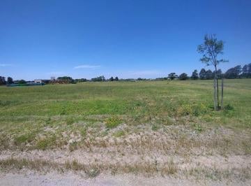 Terreno · 1000m² · Venta 1000 m² Barrio Polo Tres Pinos