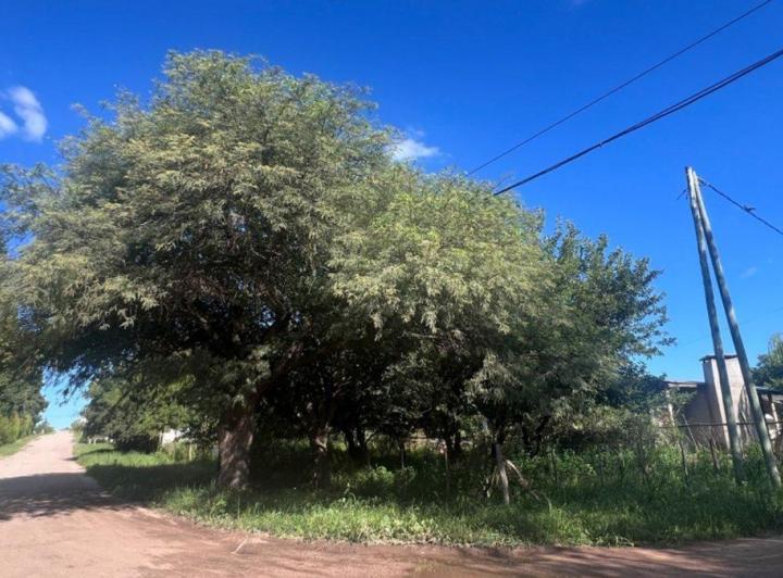 Terreno · 645m²