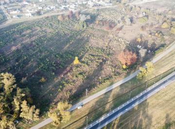 Campo · 16ha · Campo - Lujan