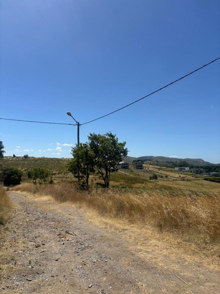 Amplio Lote en Zona Villa del Parque, Disponible para la venta, Ideal para proyectar tu nuevo Hogar