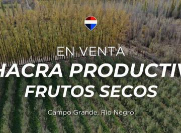Campo · 29ha · Chacra Productiva en Venta 29ha