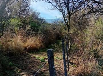 Campo , Las Tapias · Campo de 4 Ha en Venta en Las Tapias con Orientación Noreste