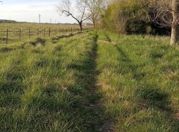 Terreno , San Miguel del Monte · 12.800 m² | 2 Viviendas | Videla Dorna