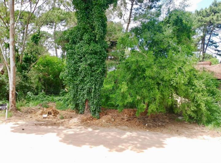 Terreno · 441m²