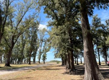 Terreno · 1029m² · Venta Lote en Tres Pinos, Gral Rodriguez