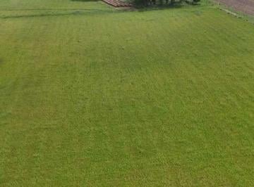 Campo , Saladillo · Campo en Venta de 36 Ha Ubicado en Cazón