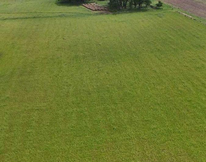 Campo · 36m²