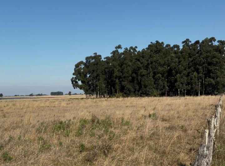 Terreno · 8000m²