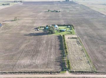 Campo , Saladillo · Campo en Venta de 41 Ha Ubicado en Saladillo
