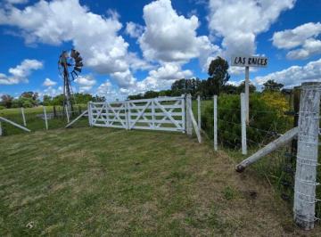 Campo , Saladillo · Campo en Venta de 12.6 Ha Ubicado en Saladillo