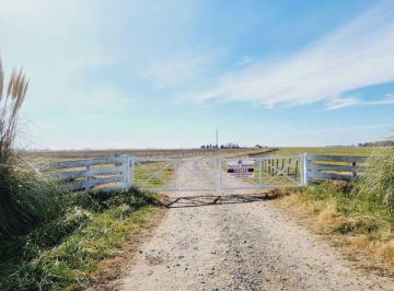 Campo , Saladillo · Campo en Venta de 488 Ha Ubicado en Saladillo Buenos Aires