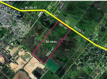 Campo · 88ha · Ruta 11y618 (88 Has)