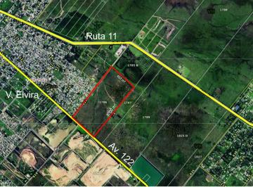 Campo · 45ha · 615y122 (45 Has)