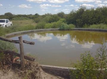 Campo · 249000m² · 1 Ambiente · Alquiler o Venta Campo Ganadero La Cabral San Cristobal