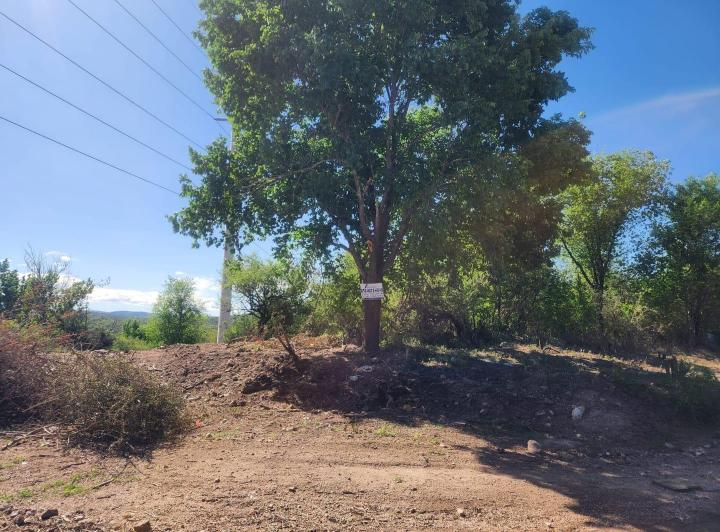 Terreno · 7278m² · 1 Ambiente