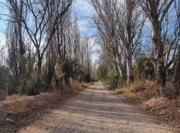 Terreno , Coquimbito · Lote en Venta 2700 m² – Calle Roca (Coquimbito, Maipú)