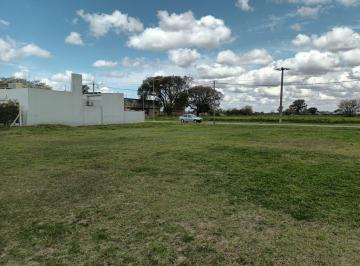 Terreno , San Carlos Centro · Venta 2 Lotes Terreno 12x34 Cada Uno.