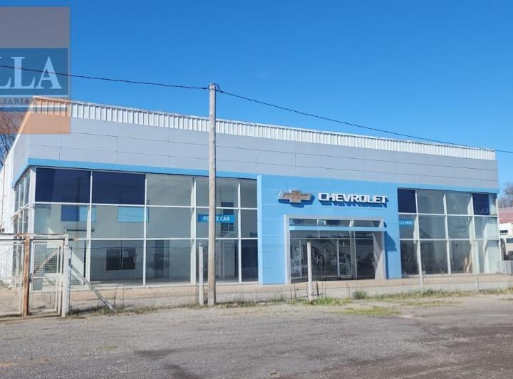 Bodega-Galpón · 1300m²