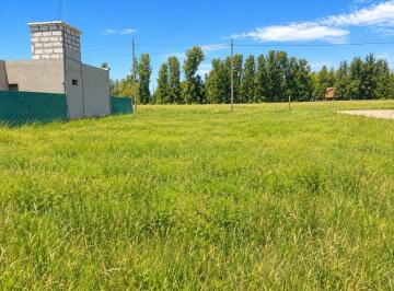 Terreno , Cañuelas · Lote Venta 341 m² Sobre R 205 Cañuelas C/escritura