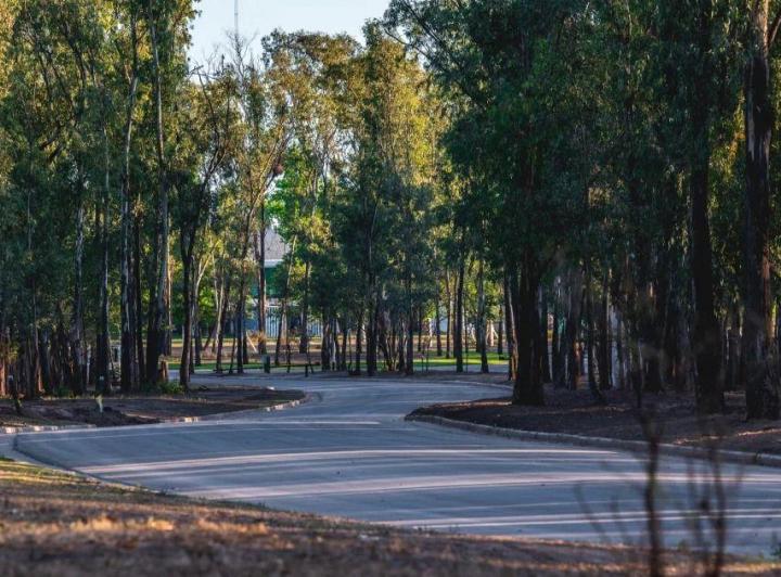 Terreno · 266m²