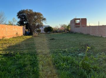 Terreno , Hernández · Amplio Terreno 17x50 m