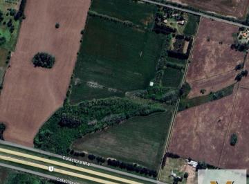 Campo · 500m² · Campo en Venta - - m - Zarate