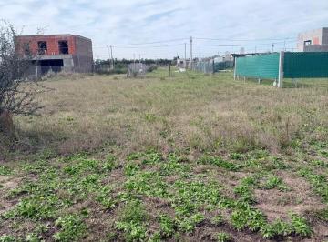 Terreno · 300m² · Terreno en Villa Amelia