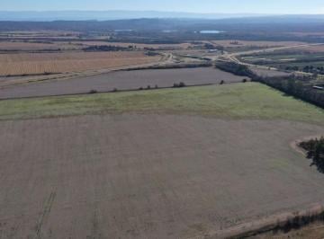Campo , Almafuerte · Campo Agrícola de 40 Ha con Casa y Renta Vigente en Almafuerte