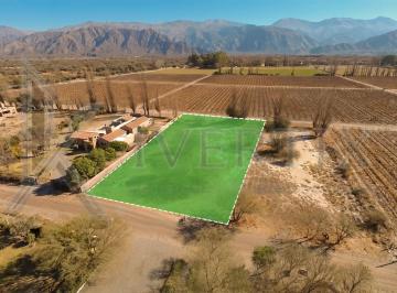 Terreno , Cafayate · Lotes en Venta en La Estancia de Cafayate