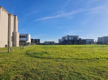 Terreno · 60249m² · Imperdible Lote en Barrio Riberas, Puentes