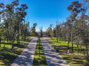 Terreno , Malagueño · Lote Individual Sobre Boulevard en Nuevo Malagueño | 356,50 m²