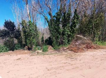 Terreno , Cariló · En Carilo, Lote en Venta en Calle Avestruz. Tercera Linea de Mar. Bosque y Tranquilidad.