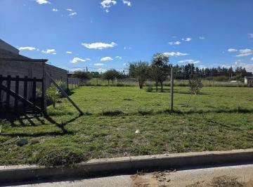 Terreno · 503m² · 1 Ambiente · Terreno Urbano en Venta en Concepción del Uruguay, Entre Ríos, Argentina