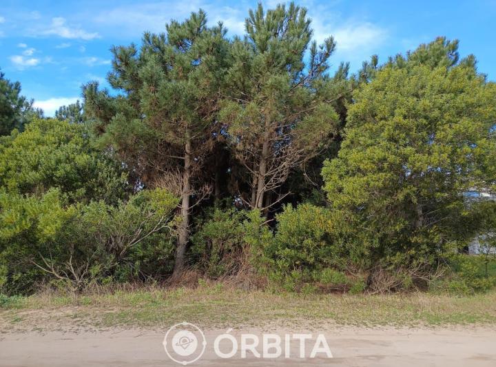 Terreno · 1007m²