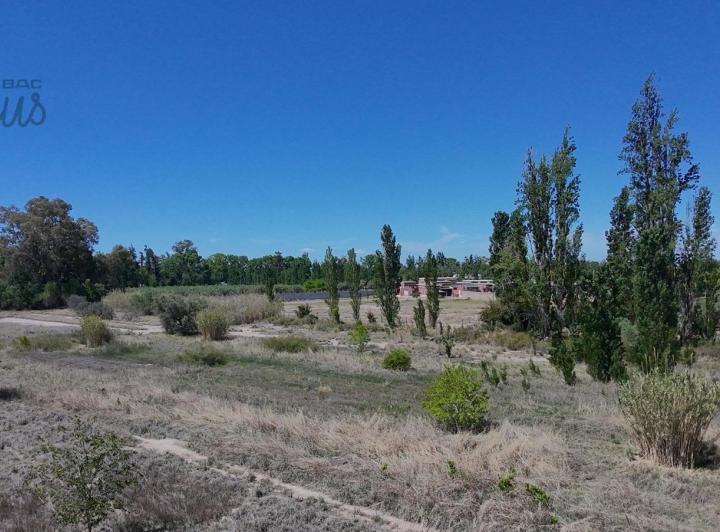 Campo · 3ha