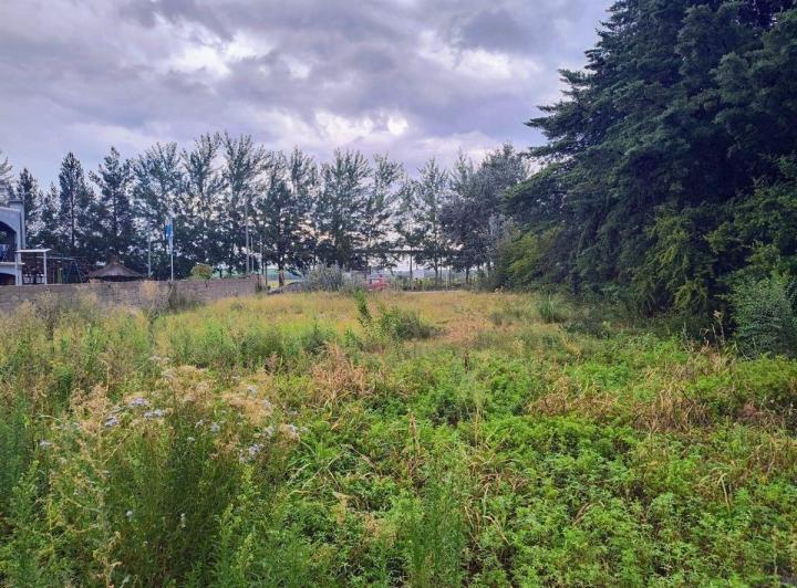 Terreno · 2330m²