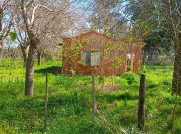 Campo , Saladillo · 40 Ha en Saladillo