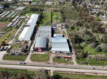 Bodega-Galpón · 1350m² · Galpón Industrial de 1.350 m² Sobre Ruta 24 – Francisco Álvarez