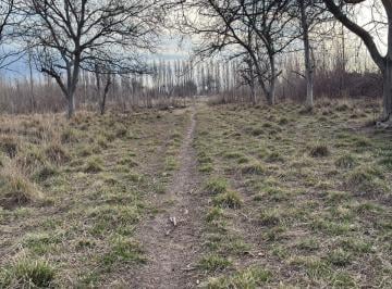Campo · 24000ha · Vendo Chacra en Cervantes