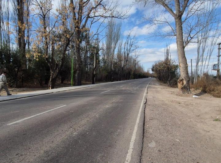 Campo · 128000m²