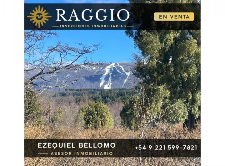 Campo · 23700m²