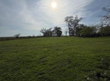Campo · 500m² · Campo en Alquiler - - m - Concepcion - Corrientes