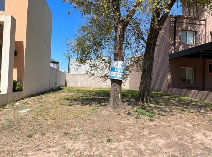 Terreno · 253m²