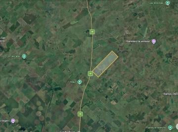 Campo · 572ha · 3 Ambientes · Campo en Balcarce
